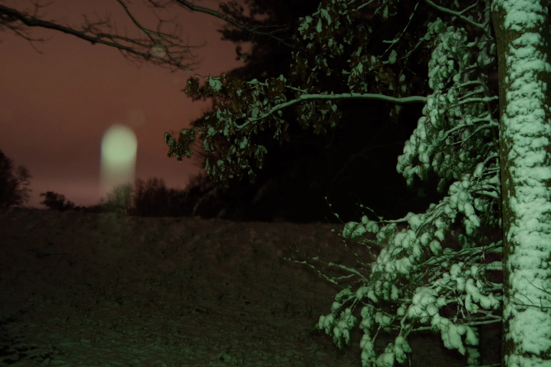 Winter night landscape, snow and bare trees — nineteen photo series