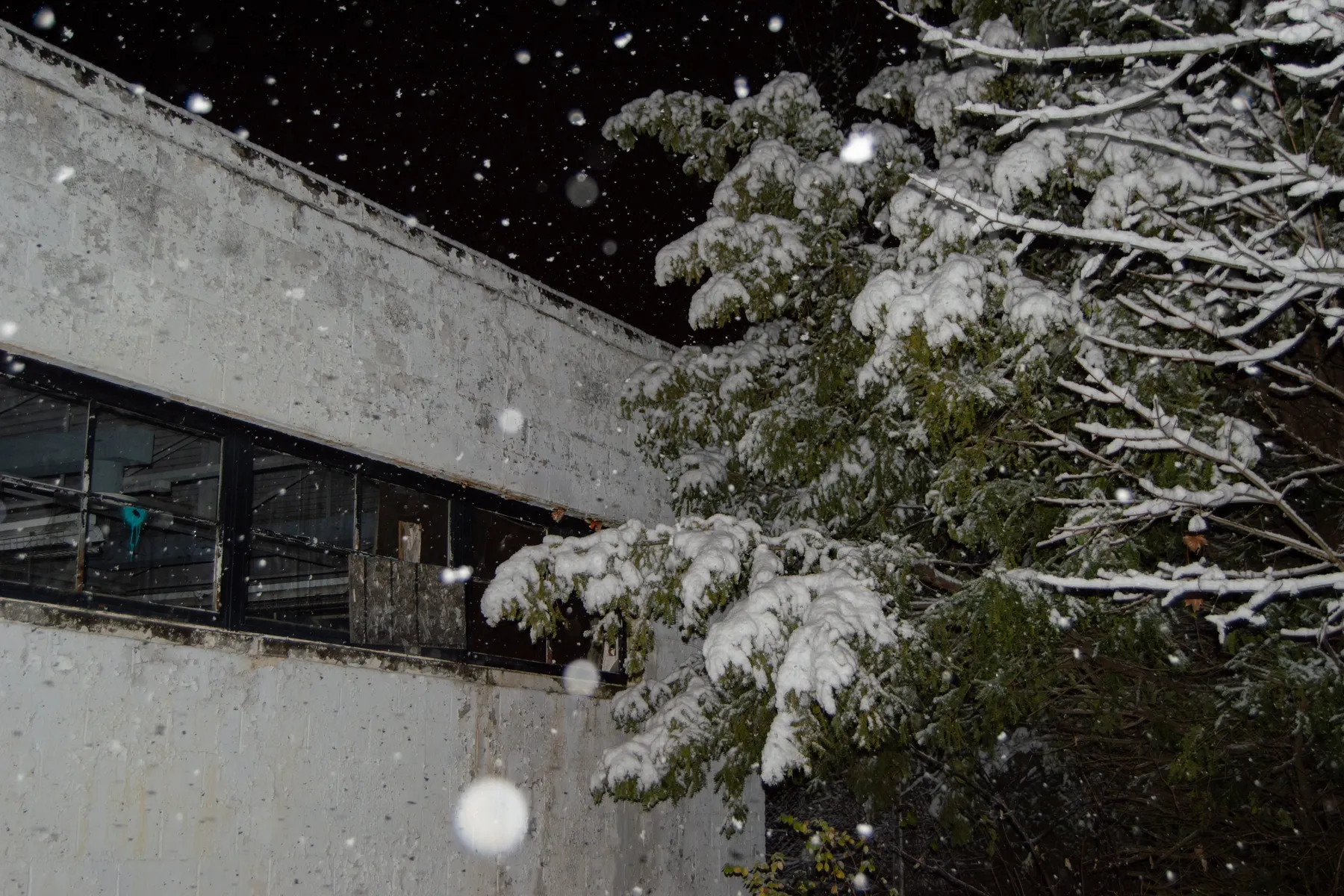 Winter night landscape — nineteen photo series