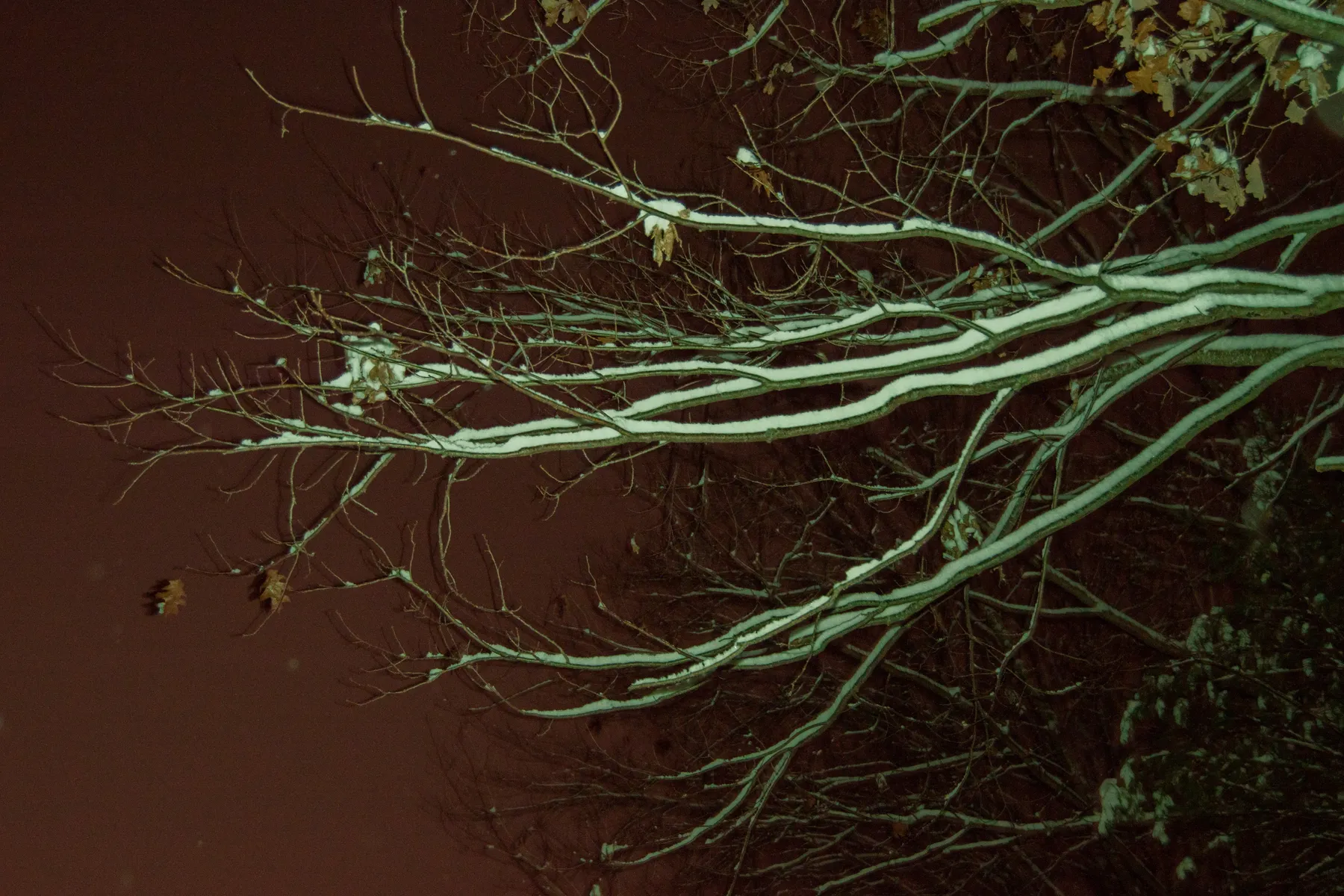 Winter night landscape — nineteen photo series