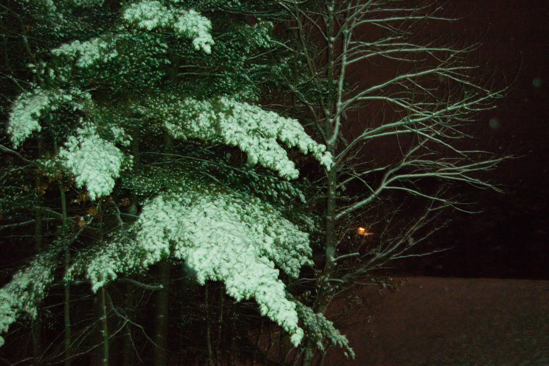 Winter night landscape — nineteen photo series