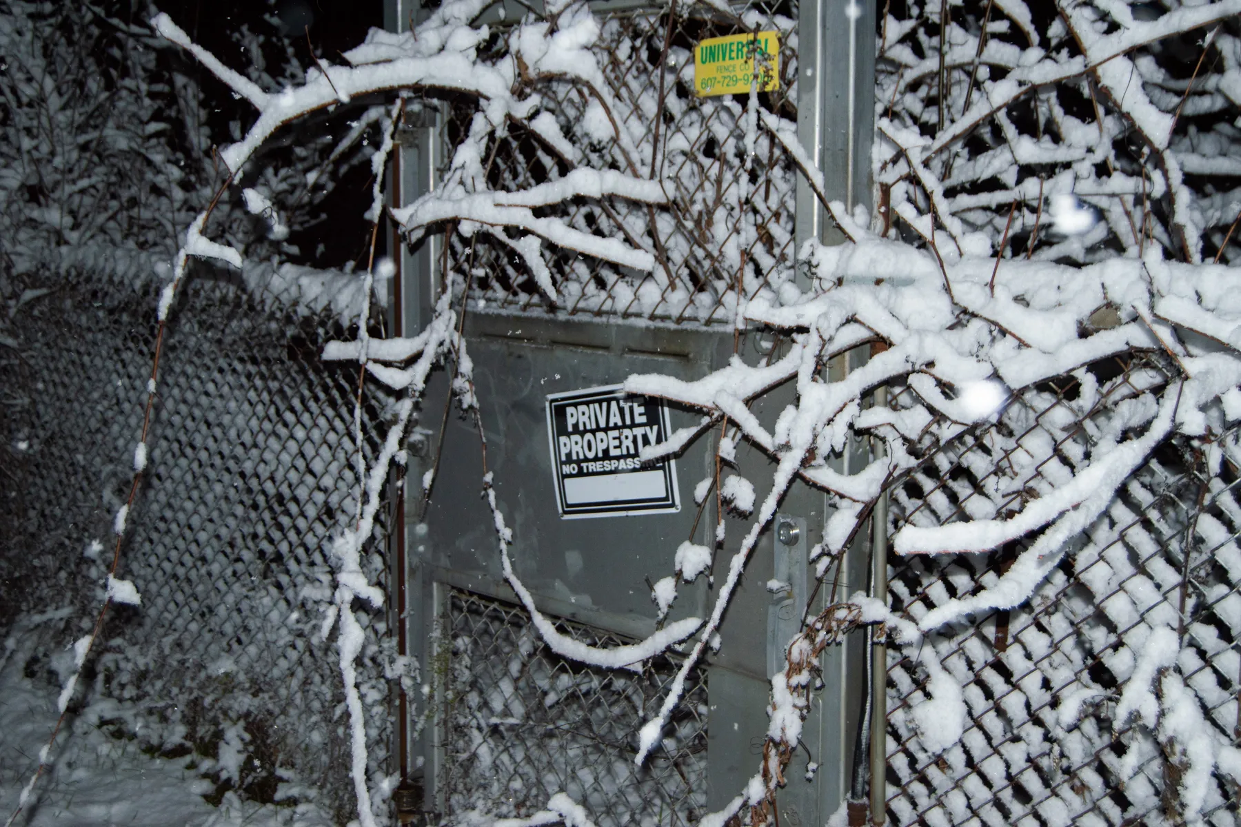 Winter night landscape — nineteen photo series
